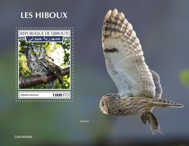 Owls (Aegolius funereus) Background info: Asio otus | Stamps of DJIBOUTI