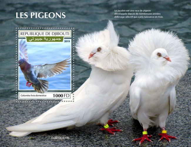 Pigeons (Columba livia domestica) Background info: The Jacobin is a breed of pigeon developed for many years of selective breeding that originated in Asia. | Stamps of DJIBOUTI