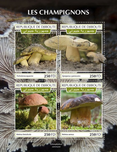 Mushrooms (Tricholoma equestre; Gyroporus cyanescens; Boletus betulicola; Boletus aereus) Background info: Schizophyllum commune | Stamps of DJIBOUTI