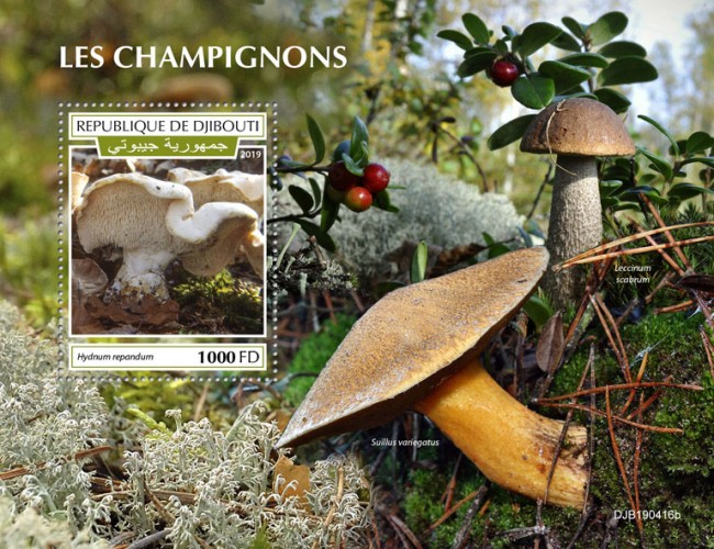 Mushrooms (Hydnum repandum) Background info: Suillus variegatus, Leccinum scabrum | Stamps of DJIBOUTI