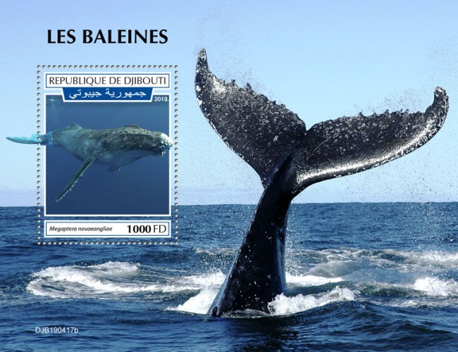 Whales (Megaptera novaeangliae) | Stamps of DJIBOUTI