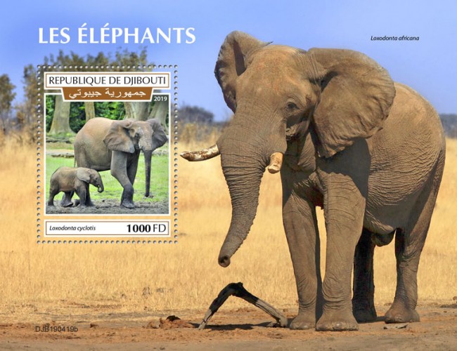 Elephants (Loxodonta cyclotis) Background info: Loxodonta africana | Stamps of DJIBOUTI