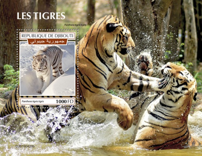 Tigers (Panthera tigris tigris) | Stamps of DJIBOUTI
