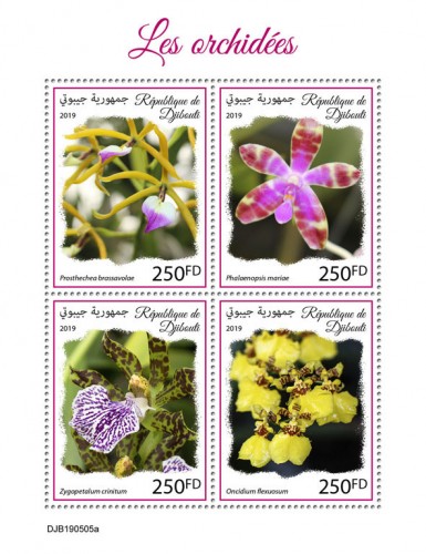 Orchids (Prosthechea brassavolae; Phalaenopsis mariae; Zygopetalum crinitum; Oncidium flexuosum) | Stamps of DJIBOUTI