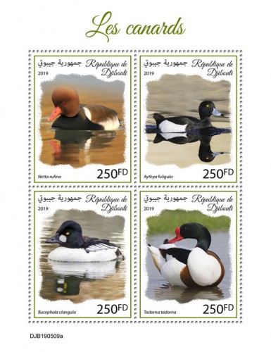 Ducks (Netta rufina; Aythya fuligula; Bucephala clangula; Tadorna tadorna) | Stamps of DJIBOUTI