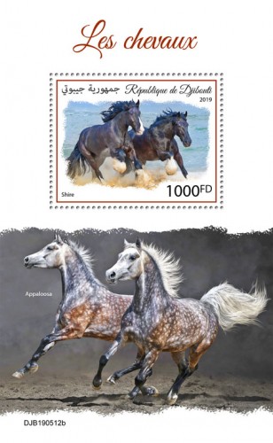 Horses (Shire) Background info: Appaloosa | Stamps of DJIBOUTI