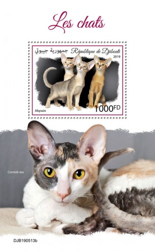 Cats (Abyssin) Background info: Cornish rex | Stamps of DJIBOUTI