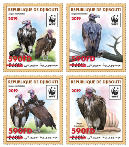 WWF overprint (Torgos tracheliotos in red foil) | Stamps of DJIBOUTI